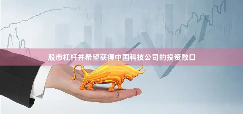 股市杠杆并希望获得中国科技公司的投资敞口