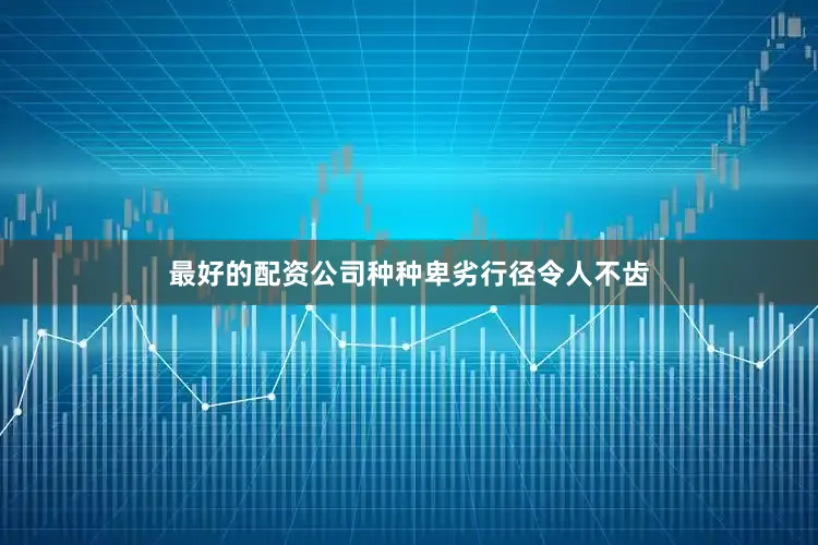 最好的配资公司种种卑劣行径令人不齿